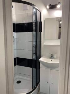 a bathroom with a shower and a sink at Górskie Mieszkanie in Stronie Śląskie