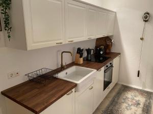 kuchnia z białymi szafkami i zlewem w obiekcie Grimming Appartement Schladming w mieście Sonnberg