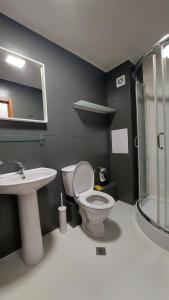 a bathroom with a toilet and a sink and a shower at 50m from Ski Piste 1 BR Apartment in Predela 2 in Bansko