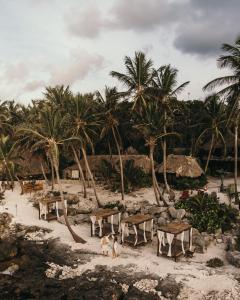 a sandy beach with palm trees and palm trees at Diamante K in Tulum