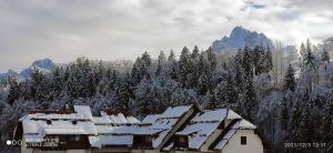 einen schneebedeckten Berg mit einem Haus und Bäumen in der Unterkunft Genzianella in Tarvis