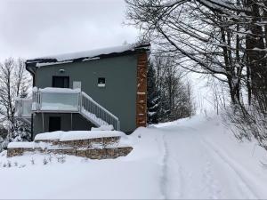 a house in the snow with a snow covered driveway at SKY one & two in Smržovka