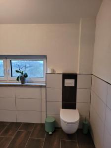 a bathroom with a toilet and a window at Beim Eifelfranken in Darscheid +24 photos