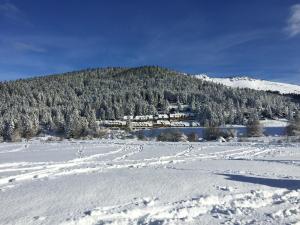 Gîte chaleureux au lac de Payolle v zimě