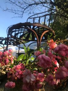 kosz kwiatów z krzesłem w tle w obiekcie Un Verger dans la Ville w mieście Saint-Parres-aux-Tertres