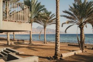 達哈布的住宿－達哈布達爾公寓式酒店，海滩上一棵棕榈树和大海
