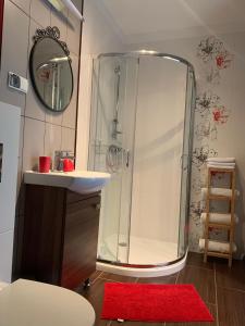 W łazience znajduje się prysznic, umywalka i czerwony dywan. w obiekcie Pokoje ArkaSasino z sauną ogrodową w Sasinie