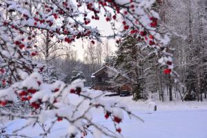 Kış mevsiminde The Lake House "Ausatas"