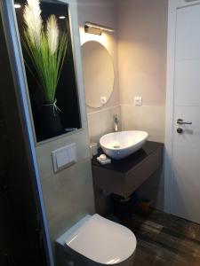 uma casa de banho com um lavatório, um WC e um espelho. em Villa Arkado em Sarajevo