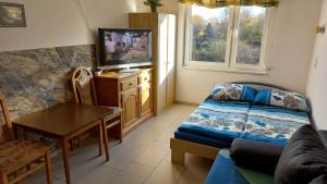 a living room with a couch and a table and a tv at Pokoje goscinne DW Antom in Dźwirzyno