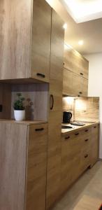 a kitchen with wooden cabinets and a potted plant at Milmari Lux Apartment N74 Kopaonik in Kopaonik