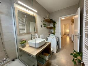 Un baño con lavabo blanco y ducha. en Belmonte, en Brasov 19 fotos más