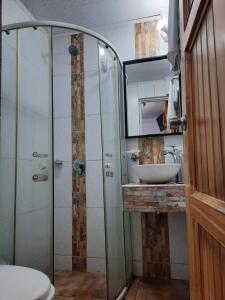 a bathroom with a shower, sink, and toilet at Jardín Del Duque Hotel Boutique in Santa Marta