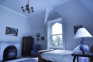 1 dormitorio con 1 cama, chimenea y ventana en Edmondstown House, en Ballaghaderreen