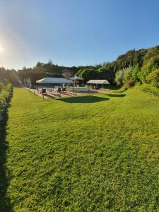 trawiaste pole z grupą schronów w oddali w obiekcie Hotel Antica Tabaccaia Resort w mieście Terranuova Bracciolini