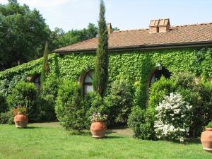 una casa cubierta de hiedra con macetas de flores en un patio en Ginestriccio, en Bibbona