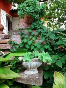 a stone planter with green plants in it at Casa Morelli in Montalbo