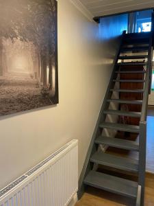 eine Treppe in einem Zimmer mit Wandgemälde in der Unterkunft Inselhaus Malchow in Malchow
