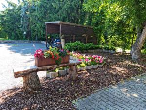 Zahrada ubytování Hotel Landgasthof Fromm
