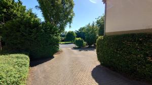 Zahrada ubytování Hotel Landgasthof Fromm