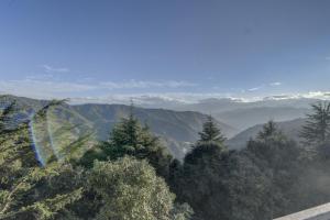 Fotografie z fotogalerie ubytování Tarika Resort & Spa , Chail v destinaci Chail