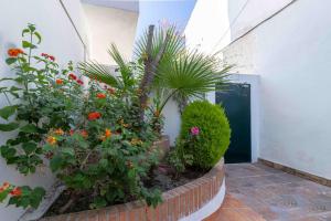 Zahrada ubytování Apartamento en la Playa en Paseo Maritimo