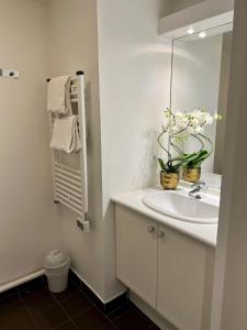 Koupelna v ubytování Appartéa Grenoble Alpexpo