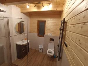 y baño con aseo y lavamanos. en Domek w Cisnej pod Honem 2, en Cisna
