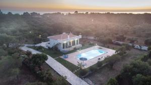 an aerial view of a house with a swimming pool at Villa Adonis in Halikounas