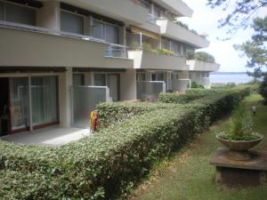 een met klimop bedekte muur voor een gebouw bij Appartement bord de mer Arcachon in Arcachon