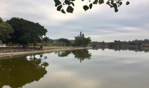 旅馆周边自然景观