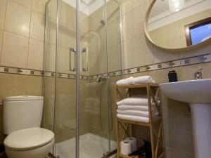 a bathroom with a shower and a toilet and a sink at Vivienda vacacional sur de europa b 3 4 in La Restinga
