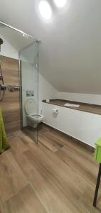 a bathroom with a toilet and a glass wall at Casa Achim in Baia Mare
