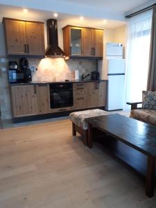 Kuchyň nebo kuchyňský kout v ubytování Transylvania Villa & Spa