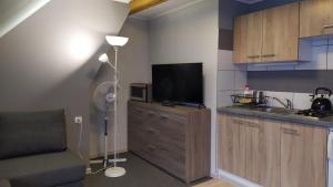 Kuchyňa alebo kuchynka v ubytovaní Apartamenty Z Widokiem Na GÓRY