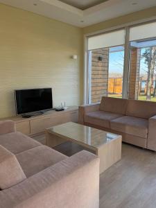 a living room with two couches and a flat screen tv at Green Gold Park in Selishche