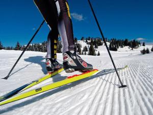 une personne est debout à skis dans la neige dans l'établissement Agritur Broch, à Fiera di Primiero