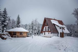 Mountain house Beauty of Laz v zimě
