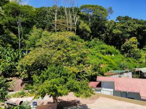 un arbre devant une maison avec un bâtiment dans l'établissement La Residence D'Almee Guesthouse, à Praslin