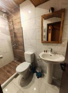 Bagno di Mansarda Kazbegi