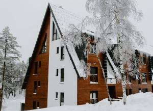 TRI BORA DIVČIGORA en invierno