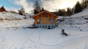 Modern chalet surrounded by nature in Vercorin talvel