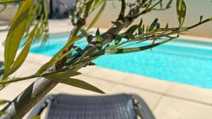 a plant next to a chair next to a pool at VILLA REIALA Carry-le-Rouet in Carry-le-Rouet