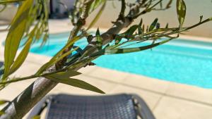 una planta junto a una silla junto a una piscina en VILLA REIALA Carry-le-Rouet, en Carry-le-Rouet