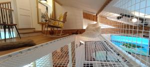 a net in the middle of a room at Le Maréchal Duplex - Appartement avec Jacuzzi - CAEN hyper Centre in Caen