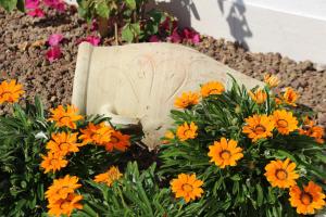 Fotografie z fotogalerie ubytování Residence VILLA ADRIANA v destinaci Bardolino