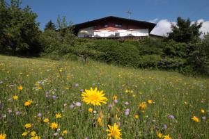 A garden outside Haus Alpenglühn