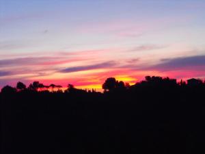 a sunset over a field with trees in the foreground at La Piccola Siesta b&b in Montepulciano