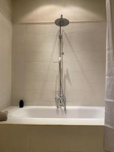 a bath tub with a shower in a bathroom at Mas des Prêcheurs in Tarascon
