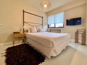 1 dormitorio con 1 cama grande y TV en Charming La Casa de La Infanta, en Madrid